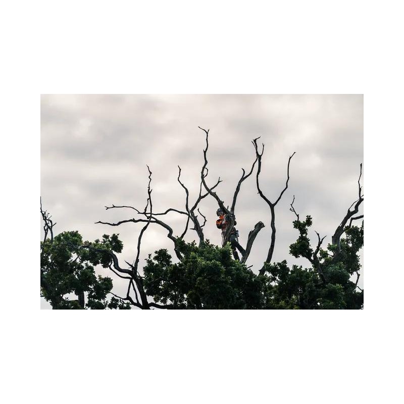 Husqvarna T540i XP G