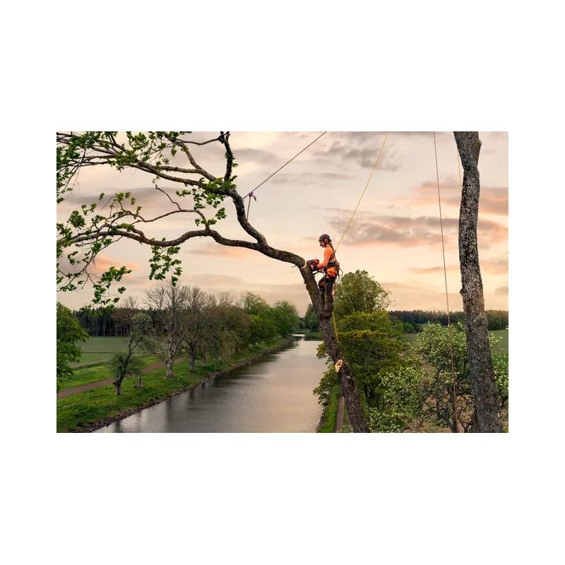 Husqvarna T540 XP® Mark III Tree-care chainsaw