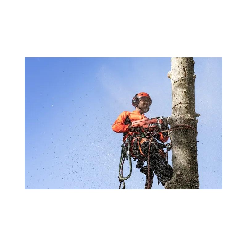 HUSQVARNA 550 XP® G Mark II